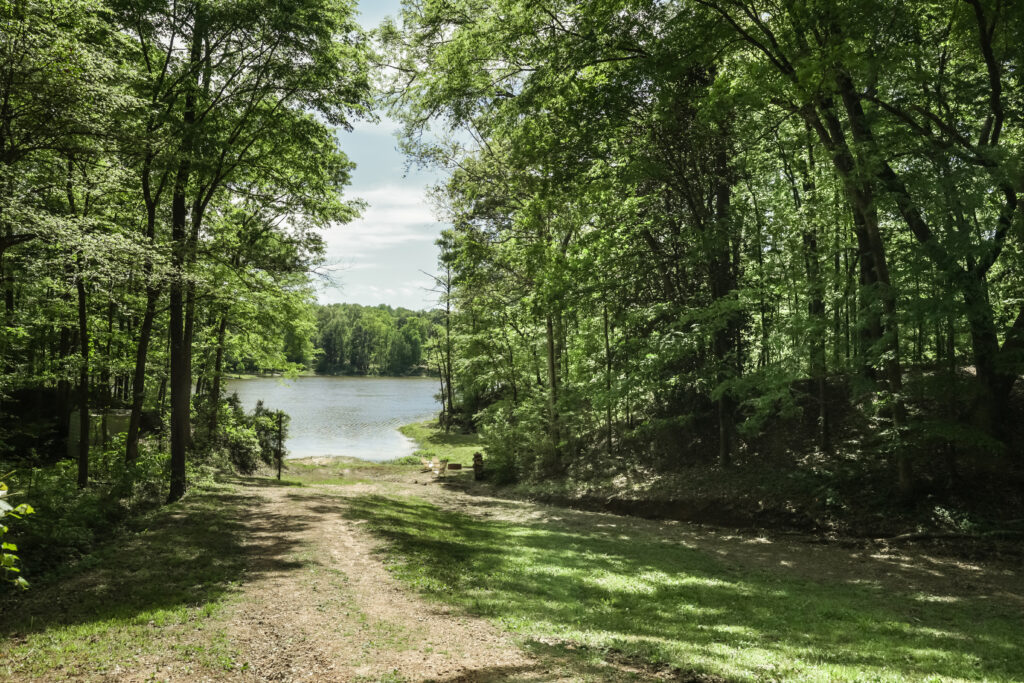 cabin 31