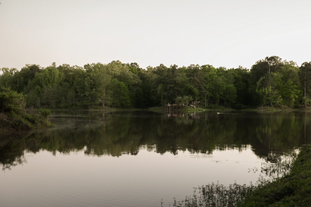 cabin 45